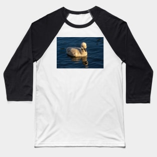 Cygnet (Baby Swan), Sunshine Coast Baseball T-Shirt